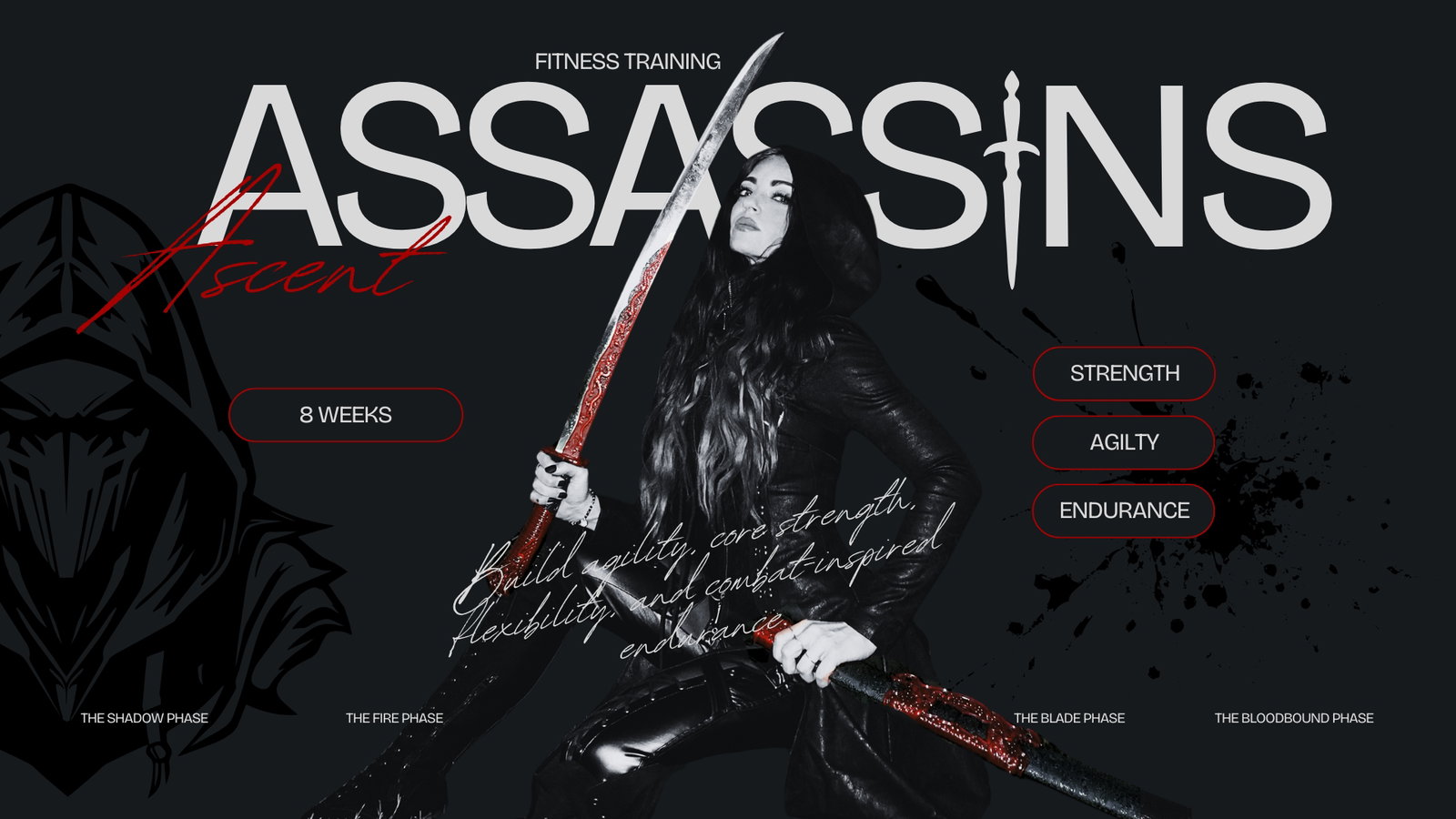 Assassin's Ascent program