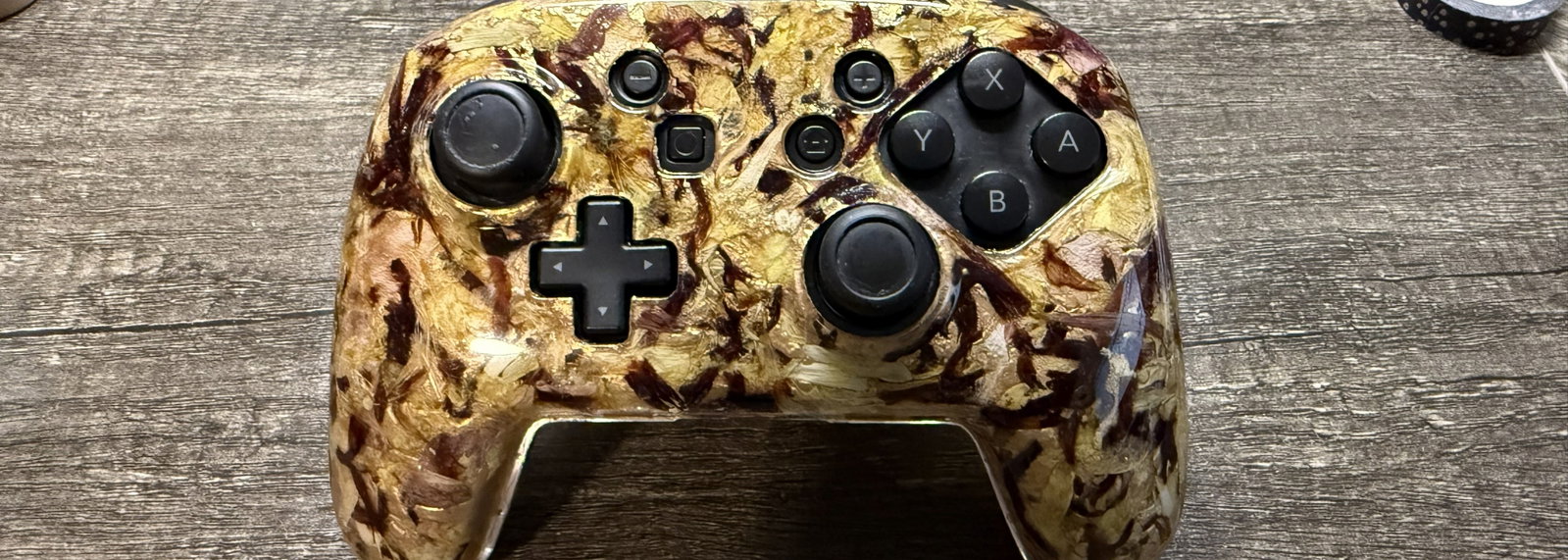 Fantasy Controller Skin