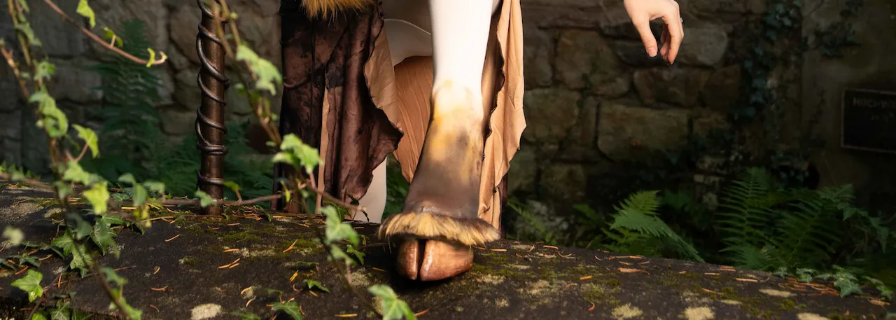 Hoof Shoes